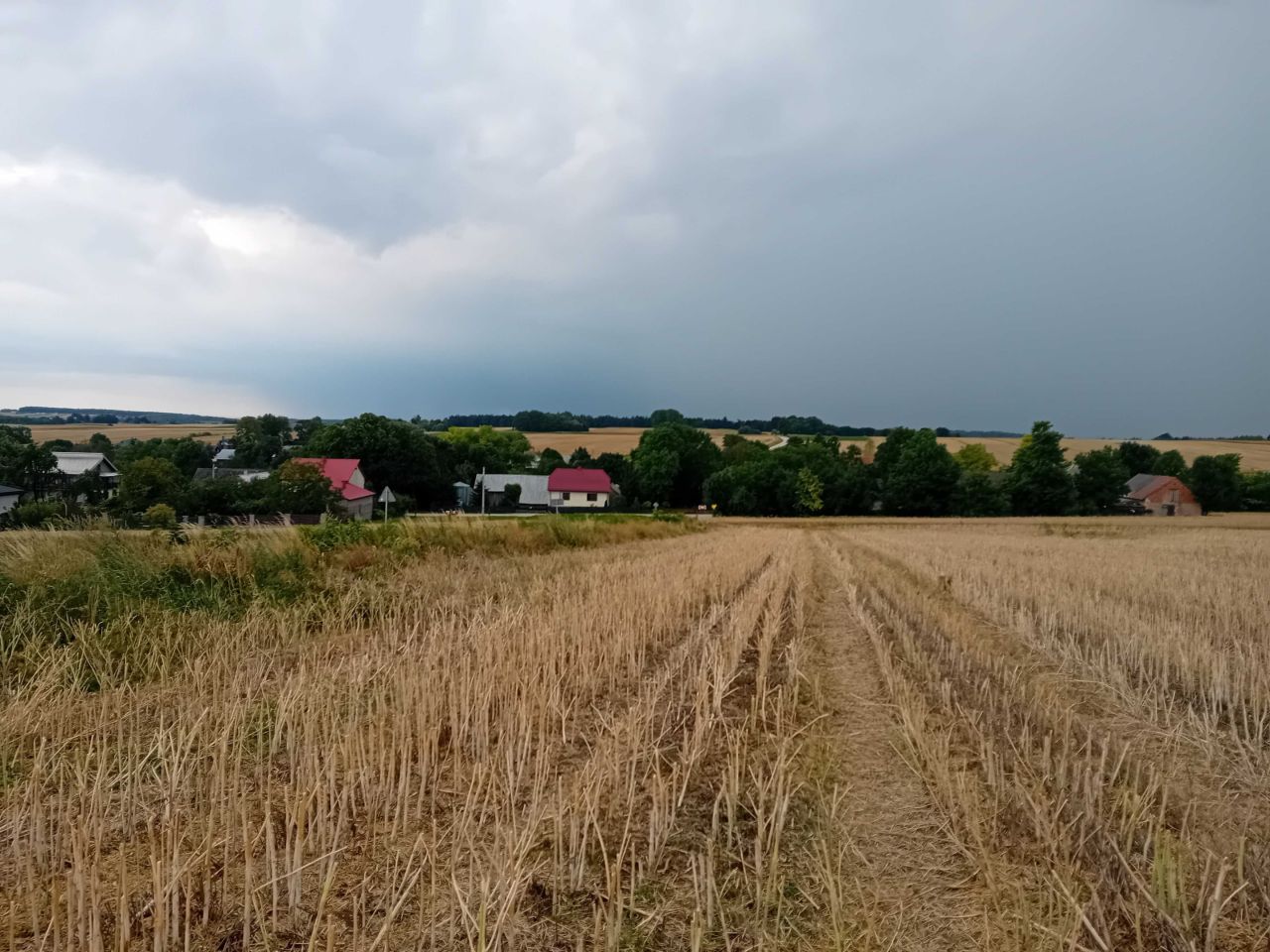 Działka rolna Zaryszyn. Zdjęcie 3