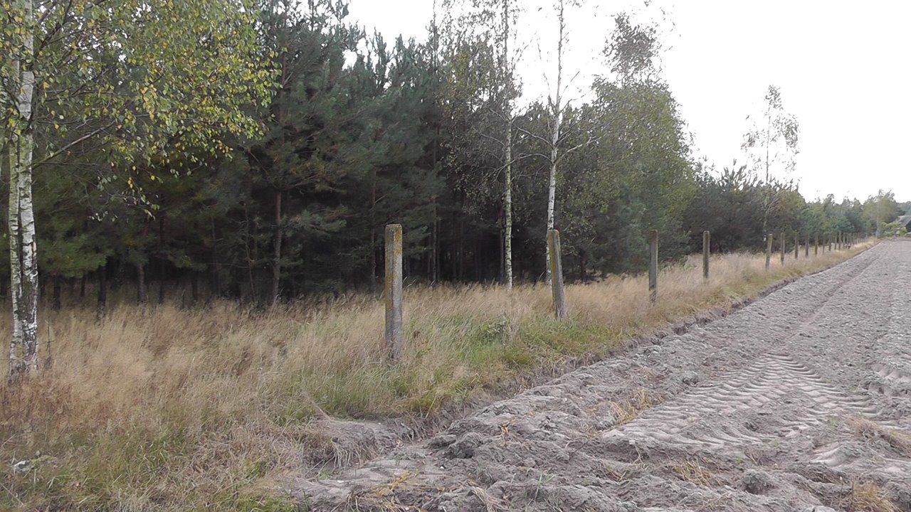 Działka inwestycyjna Zabłocie-Kolonia. Zdjęcie 12