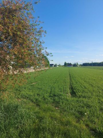 Działka rolno-budowlana Niwki. Zdjęcie 1