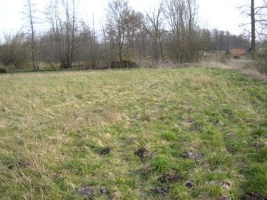 Działka budowlana Jarszewo. Zdjęcie 1