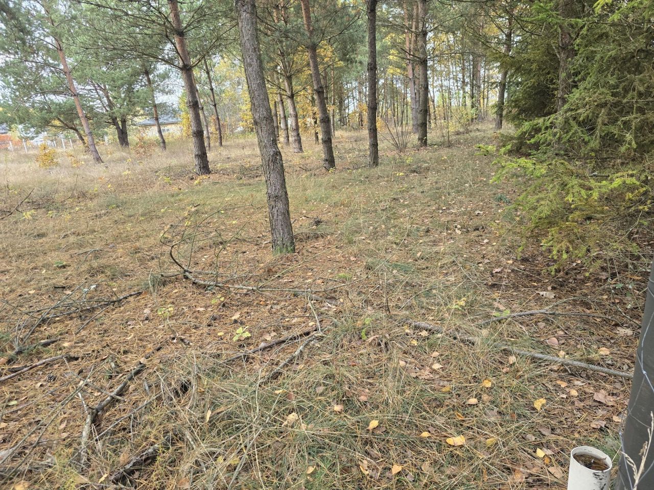 Działka budowlana Zabłocie. Zdjęcie 2