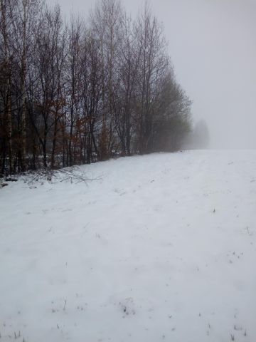 Działka rolna Gilowice Stary Dwór, ul. Działy Dworskie. Zdjęcie 1