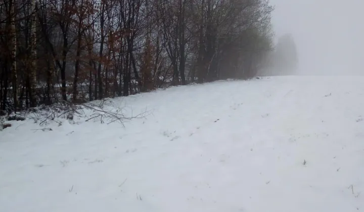 Działka rolna Gilowice Stary Dwór, ul. Działy Dworskie