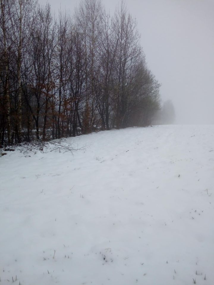 Działka rolna Gilowice Stary Dwór, ul. Działy Dworskie. Zdjęcie 1