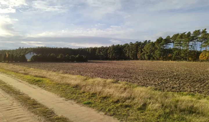 Działka budowlana Piaski