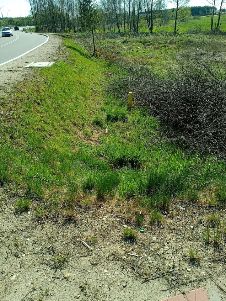 Działka budowlana Jedwabne. Zdjęcie 4