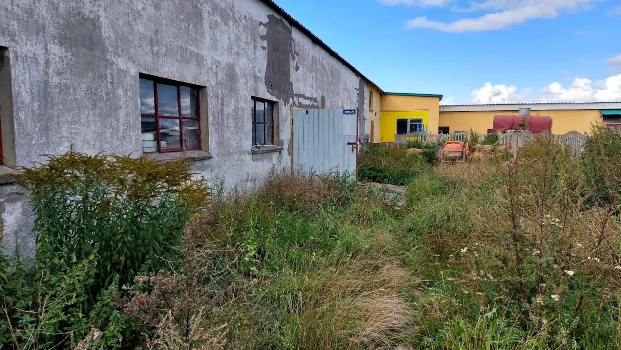 Hala/magazyn Sarbinowo. Zdjęcie 8