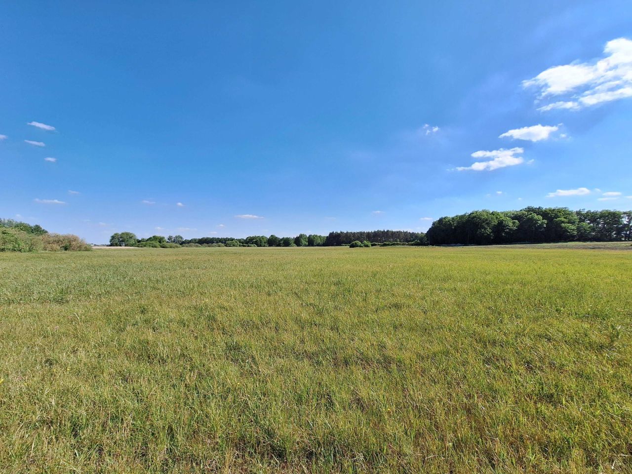 Działka budowlana Mielno. Zdjęcie 4