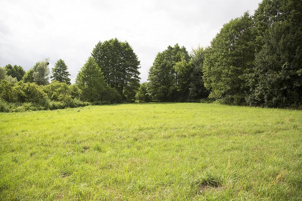 Działka siedliskowa Wola Ładowska. Zdjęcie 3