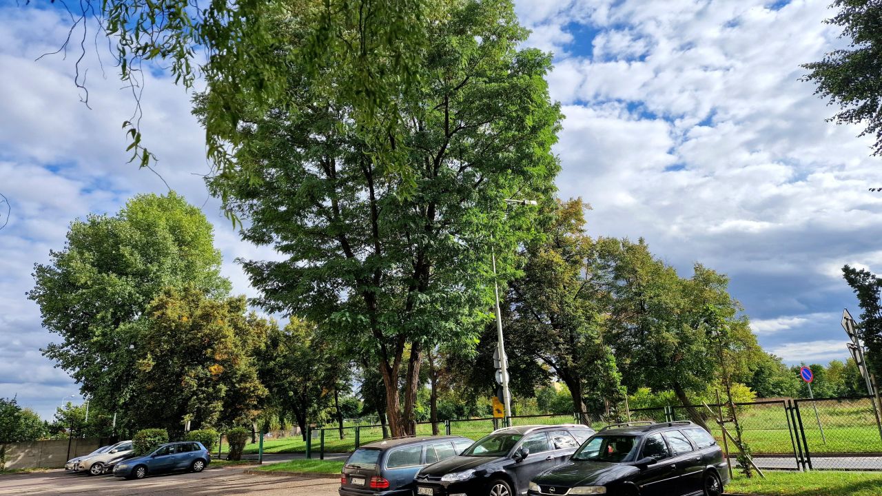 Mieszkanie 2-pokojowe Wrocław Kuźniki, ul. Hermanowska. Zdjęcie 19