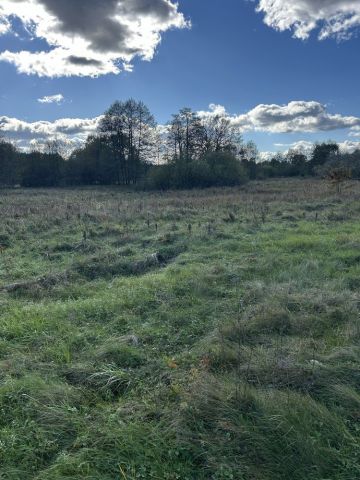 Działka rolna Skuszew. Zdjęcie 1