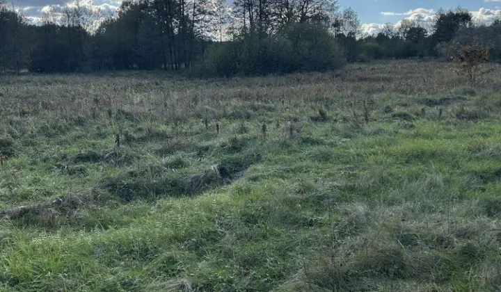 Działka rolna Skuszew