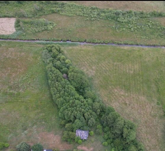 Działka rolna Stary Orzechów. Zdjęcie 2