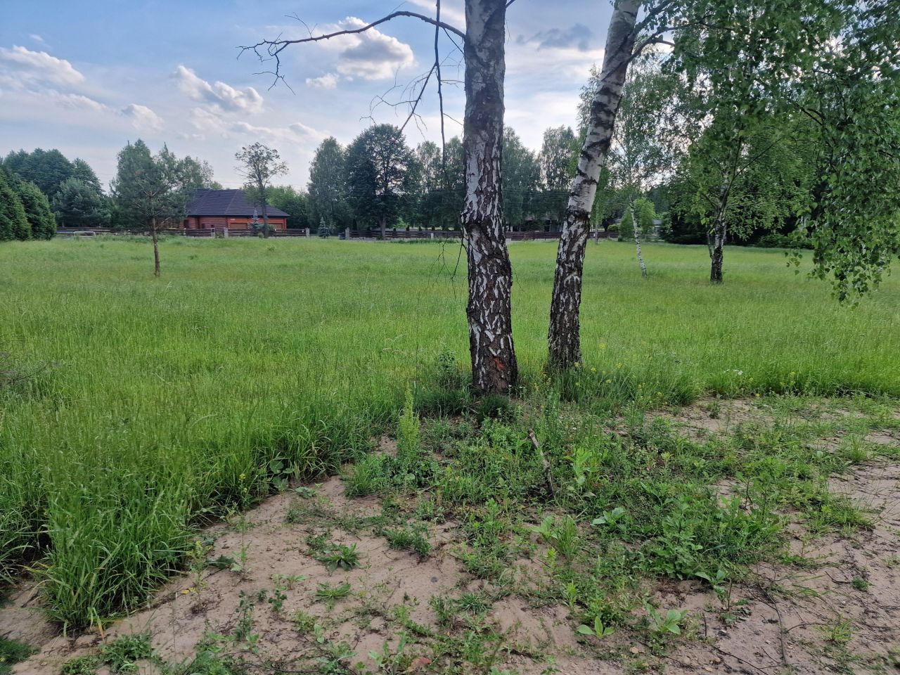 Działka budowlana Rudnik Wielki, ul. Parkowa. Zdjęcie 2