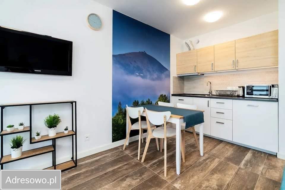 Lokal Karpacz, ul. Karkonoska. Zdjęcie 3