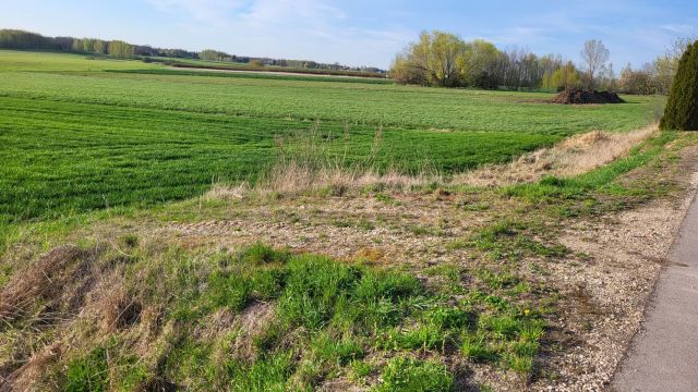 Działka rolna Paszki Duże. Zdjęcie 1