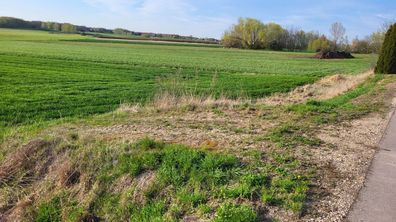 Działka rolna Paszki Duże