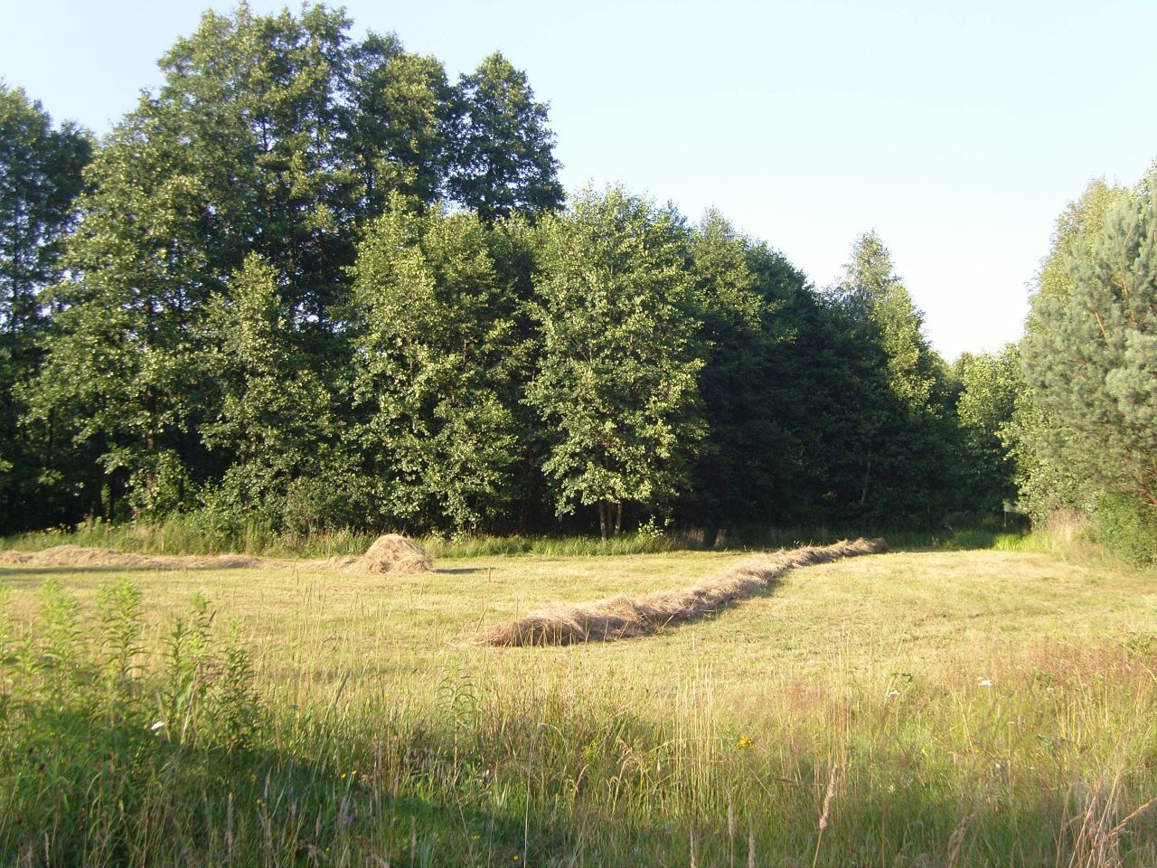 Działka inwestycyjna Kalenne. Zdjęcie 3