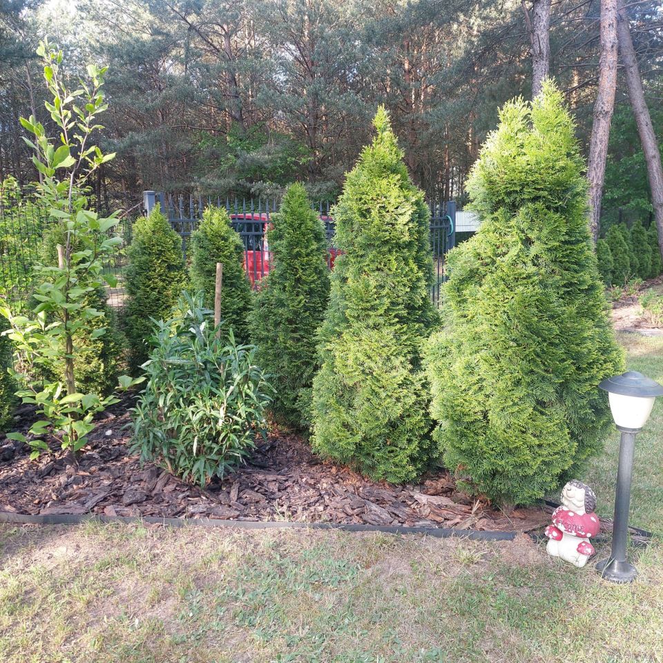 Działka budowlana Mauryców, ul. Sosnowa. Zdjęcie 18