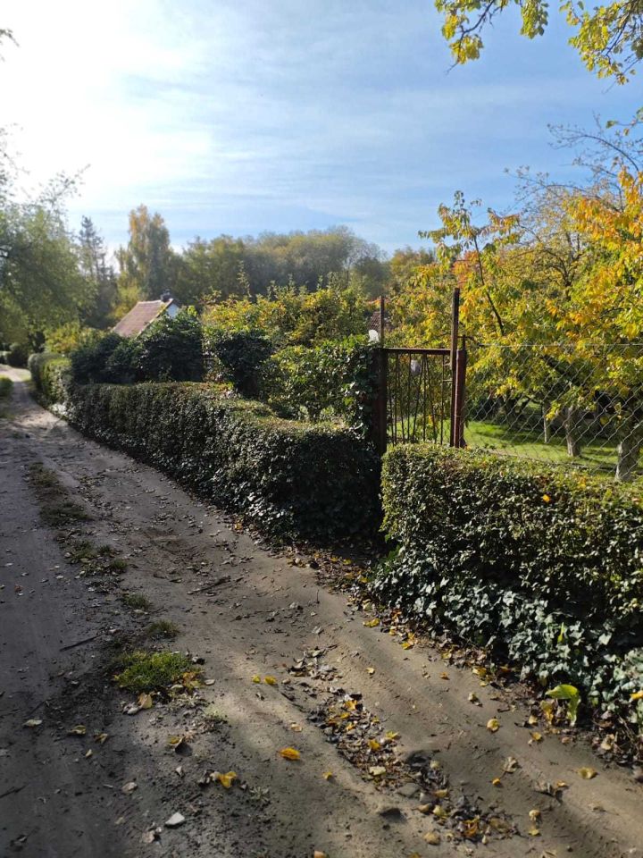 Działka rod Szczecin Gumieńce. Zdjęcie 7