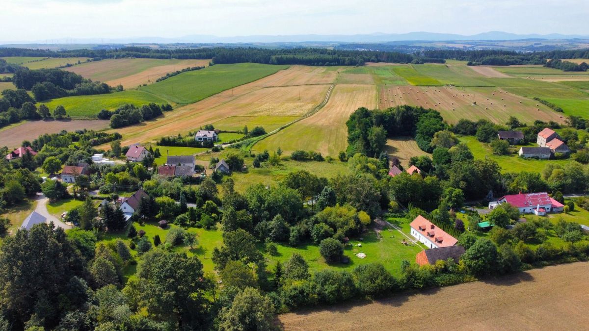 Działka inwestycyjna Kalinowice Górne. Zdjęcie 5