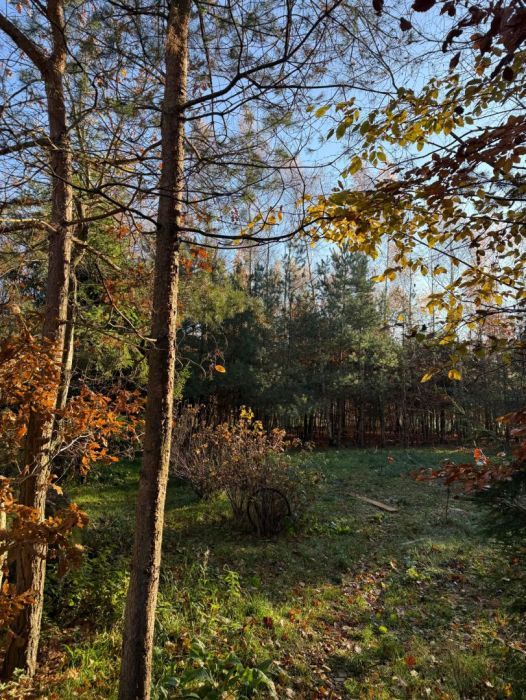 Działka budowlana Perlino. Zdjęcie 3