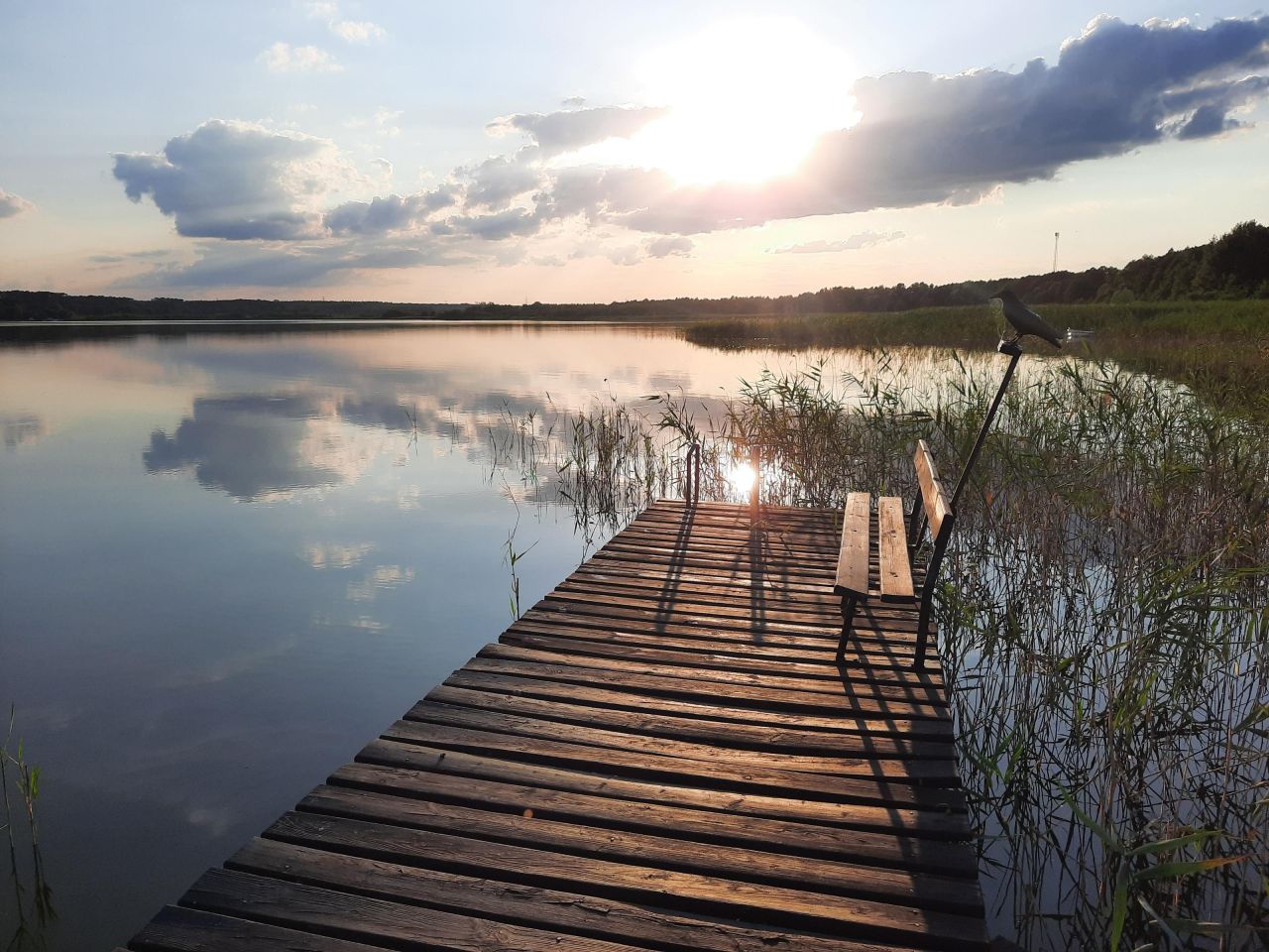 Działka rekreacyjna Płock, Wieś Matyldów gm. Łąck. Zdjęcie 11