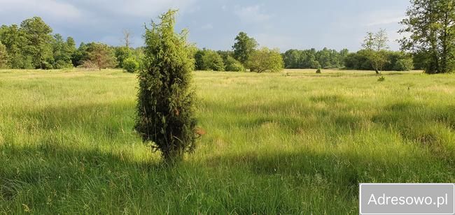 Działka rekreacyjna Ceteń. Zdjęcie 3