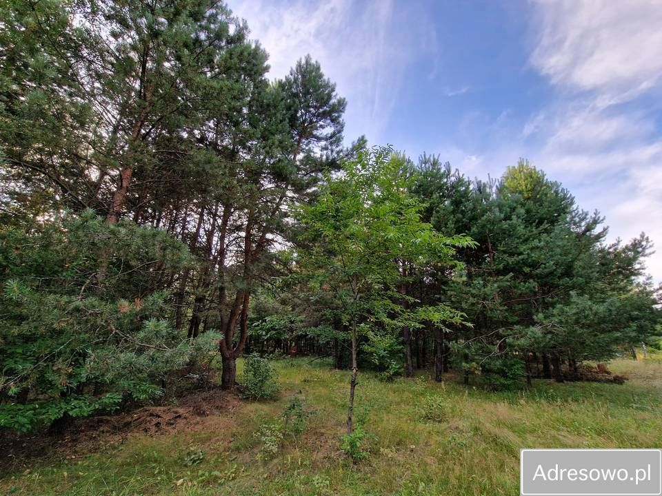 Działka rekreacyjna Orchówek, ul. Wesoła. Zdjęcie 5