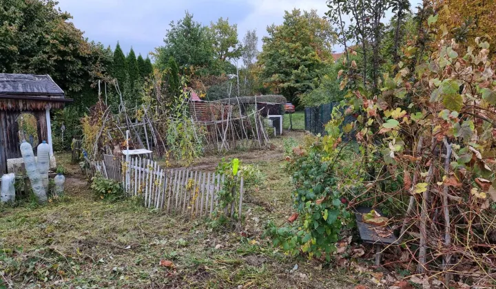 Działka rod Wrocław Stabłowice