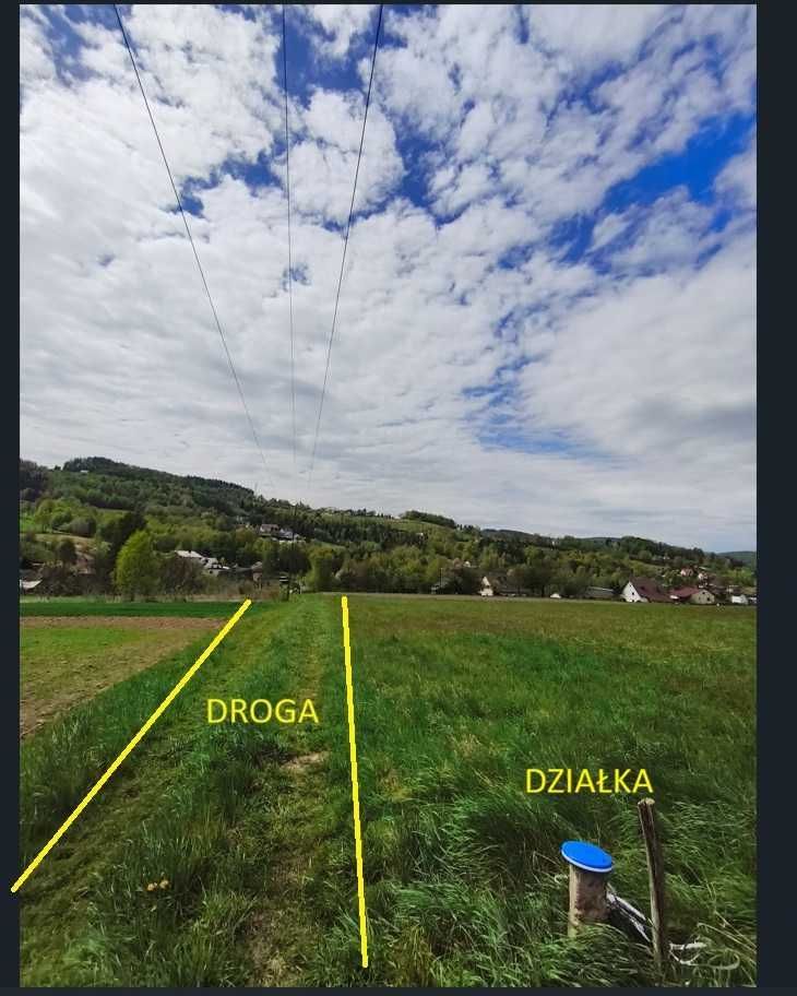 Działka rolna Rożnów. Zdjęcie 6