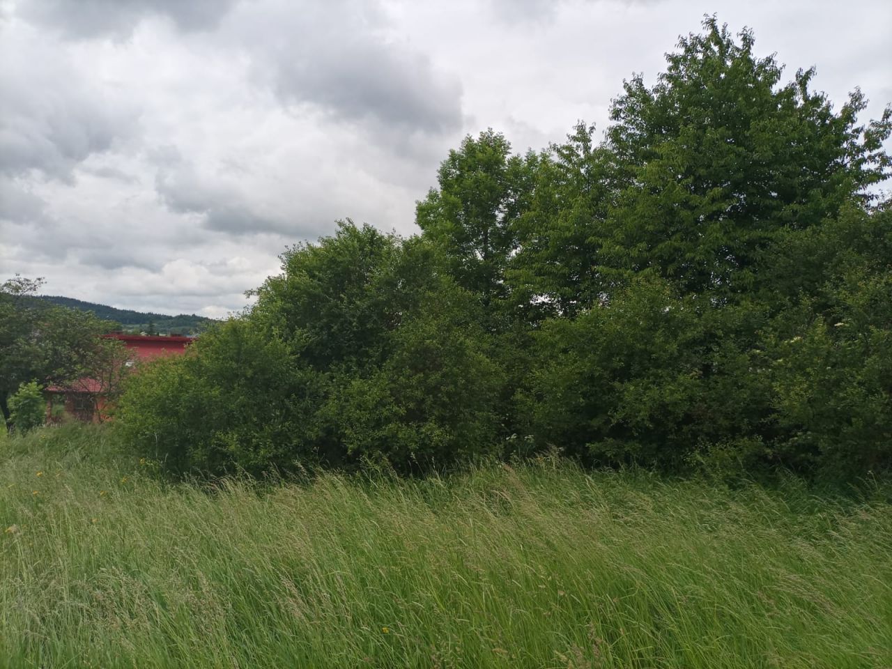 Działka budowlana Równe, ul. Pocztowa. Zdjęcie 15