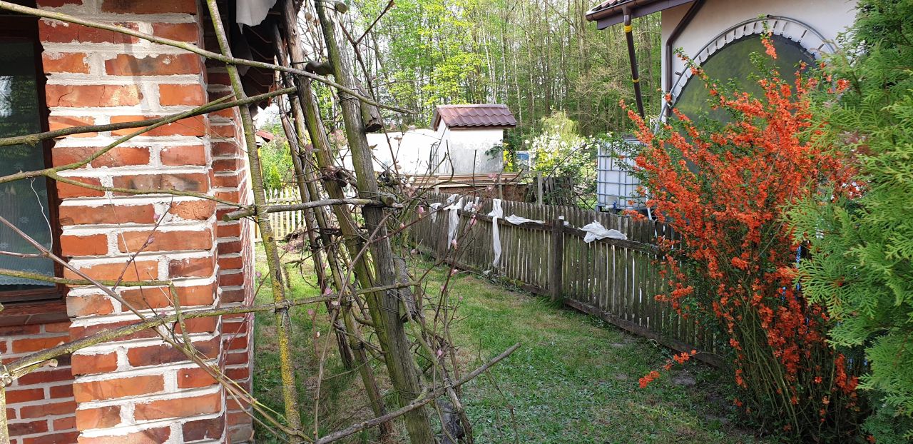 Działka rod Wieluń. Zdjęcie 18