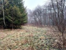 Działka budowlana Jeżewo. Zdjęcie 1