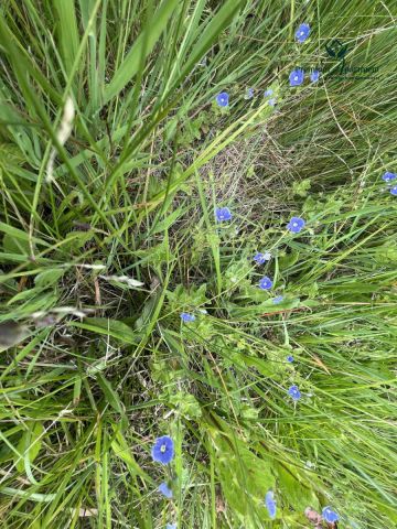 Działka budowlana Jaworze. Zdjęcie 15