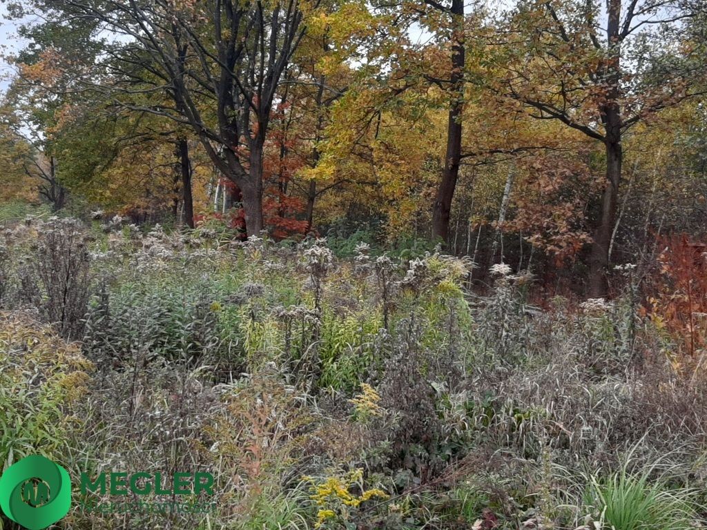 Działka budowlana Rusiec. Zdjęcie 2