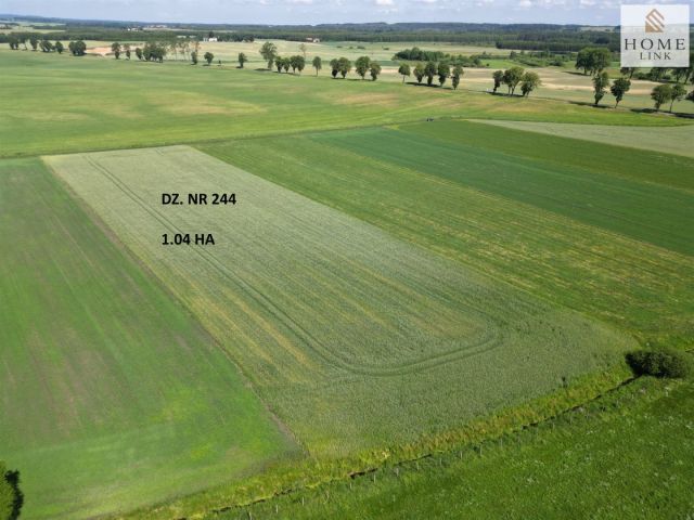 Działka siedliskowa Stębark. Zdjęcie 13