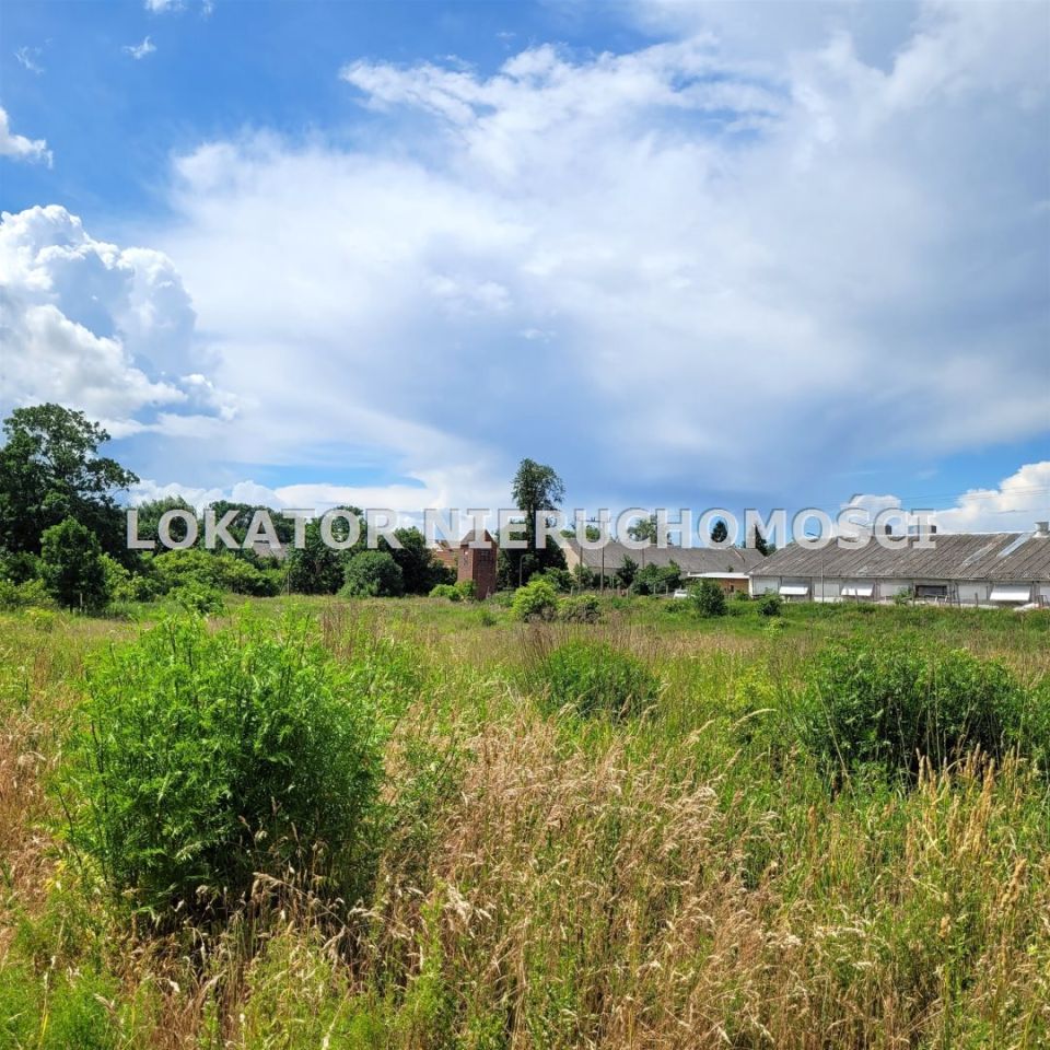 Hala/magazyn Rutwica. Zdjęcie 16