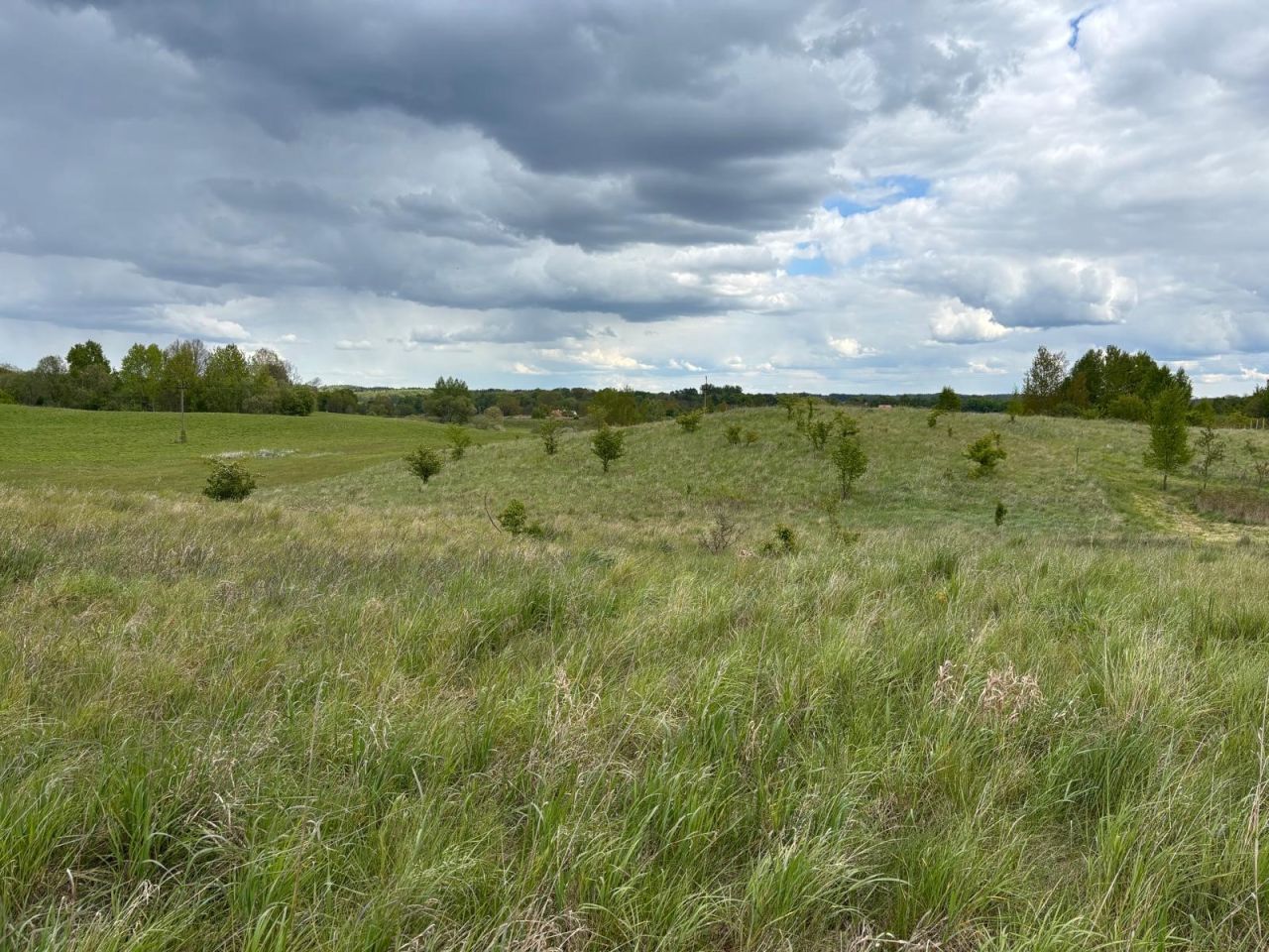 Działka rekreacyjna Stary Gieląd. Zdjęcie 2
