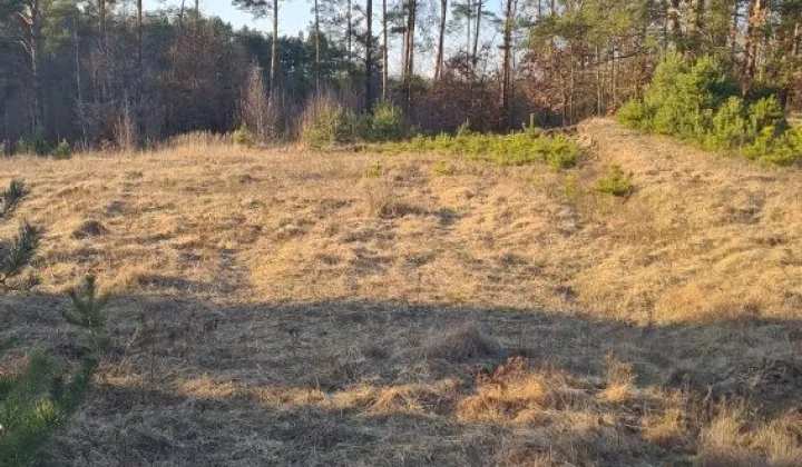 Działka budowlana Wersk