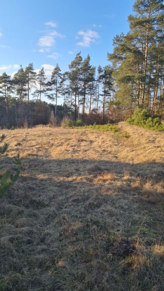 Działka budowlana Wersk. Zdjęcie 1