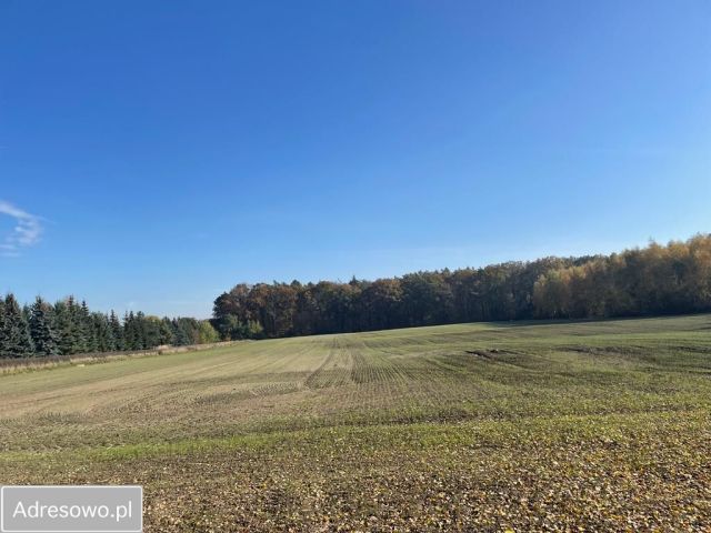 Działka budowlana Świętosławice. Zdjęcie 1