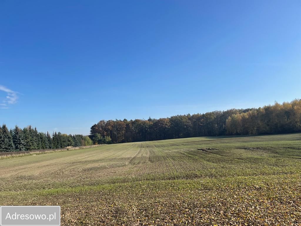 Działka budowlana Świętosławice. Zdjęcie 1