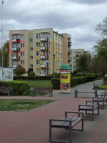 Mieszkanie 2-pokojowe Biała Podlaska. Zdjęcie 1