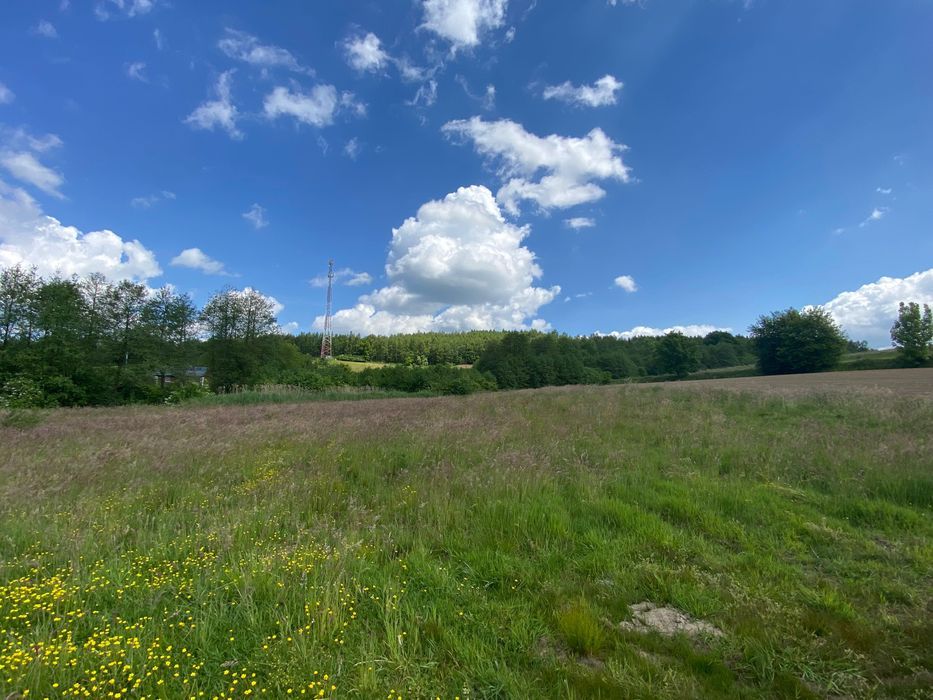 Działka rolno-budowlana Nienadowa. Zdjęcie 7