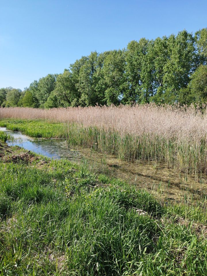 Działka budowlana Warszawa Wilanów, ul. Ruczaj. Zdjęcie 8