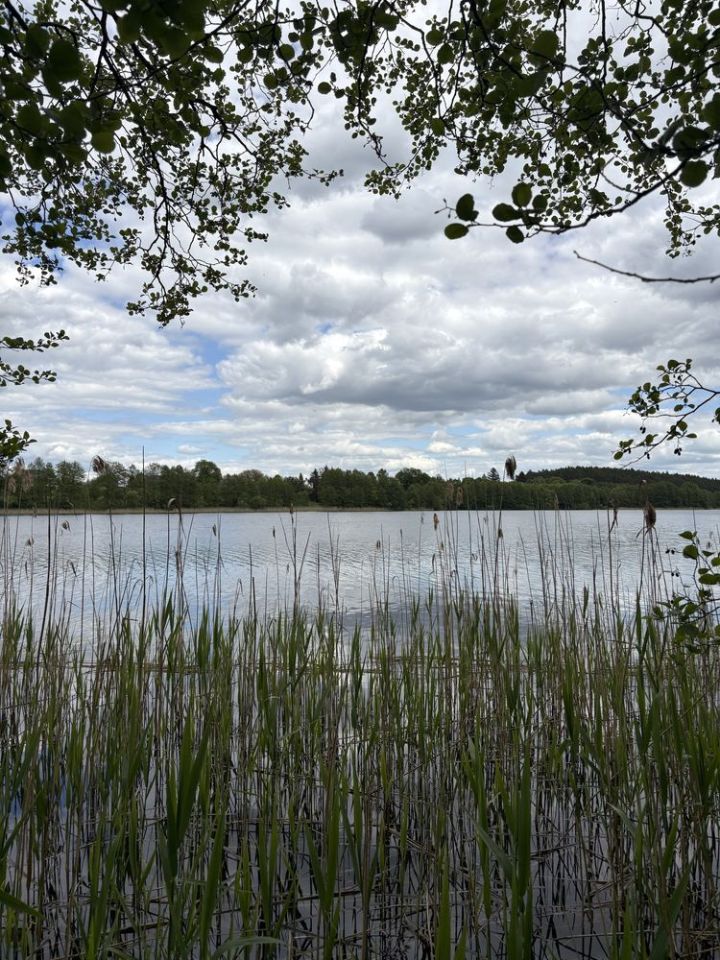 Działka rekreacyjna Borzechowo. Zdjęcie 2