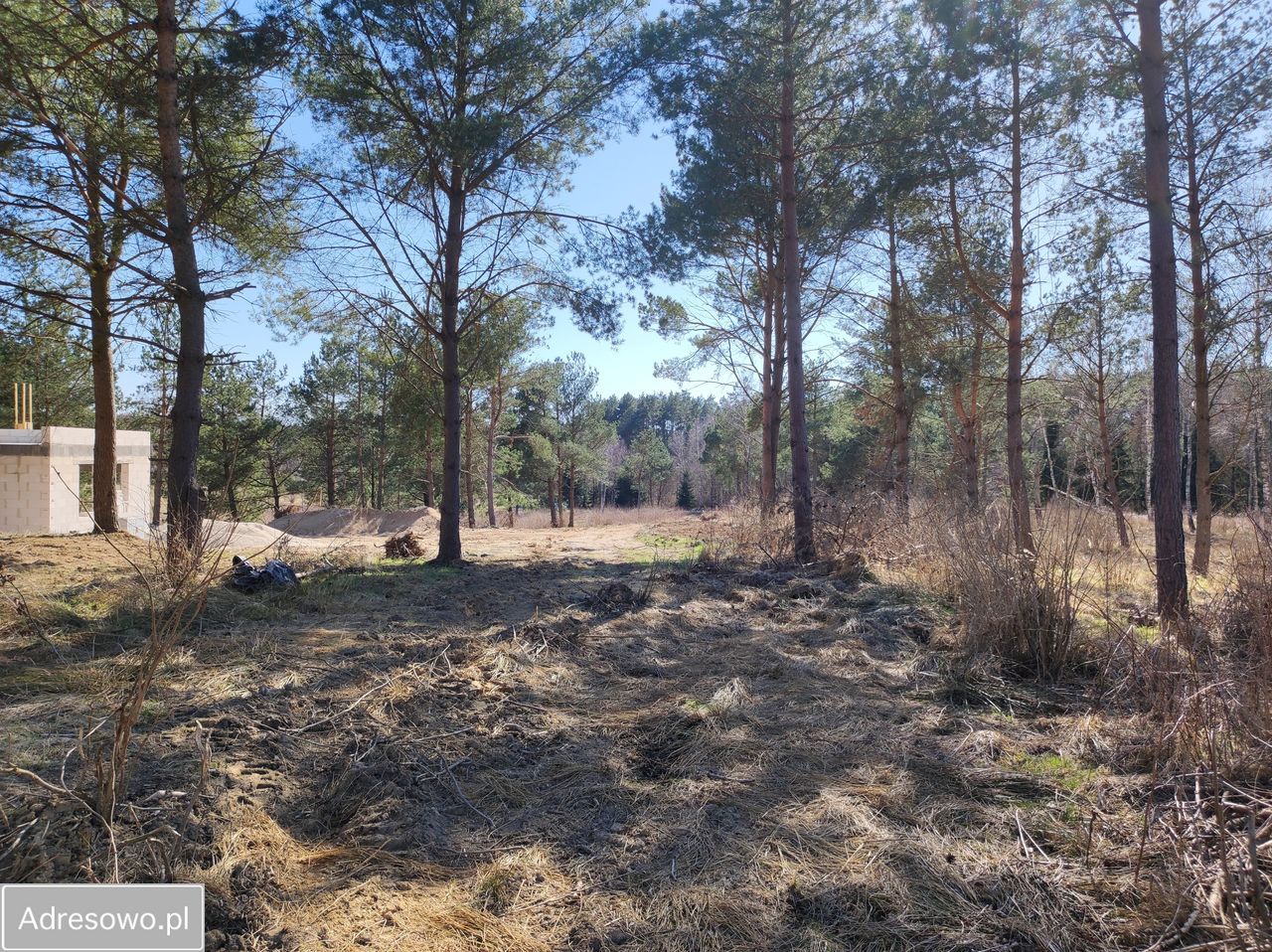 Działka budowlana Wyszewo. Zdjęcie 2