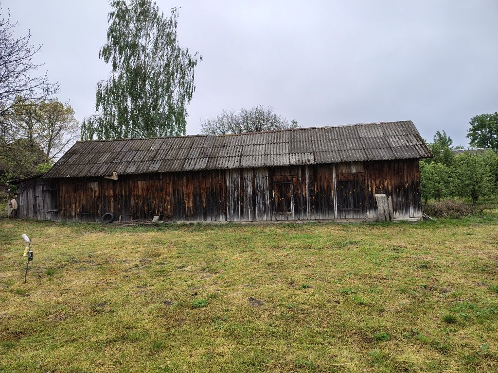 gospodarstwo Studnisko. Zdjęcie 6