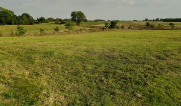 Działka inwestycyjna Sarbia